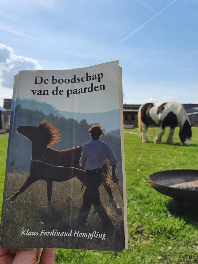 Вилла Houten Huisje Tussen Paarden Nieuwerkerken Экстерьер фото