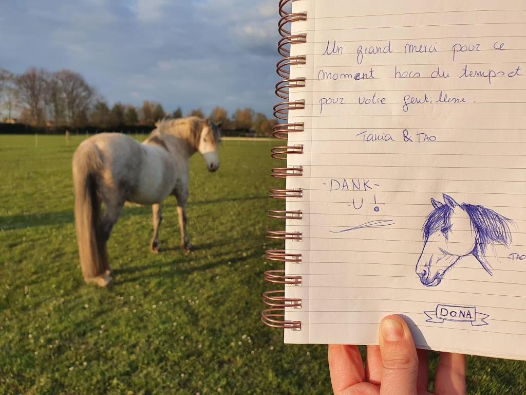 Вилла Houten Huisje Tussen Paarden Nieuwerkerken Экстерьер фото